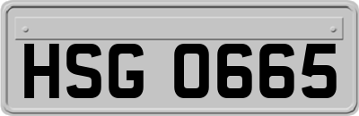 HSG0665