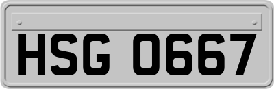 HSG0667