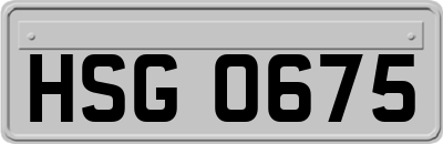 HSG0675