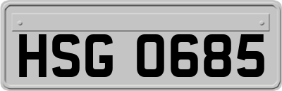 HSG0685