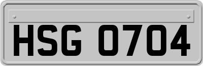 HSG0704