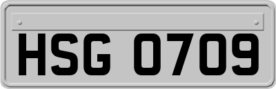 HSG0709