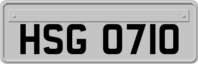 HSG0710
