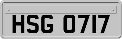 HSG0717