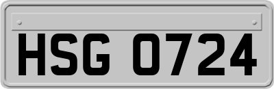 HSG0724