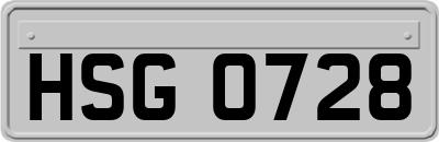 HSG0728