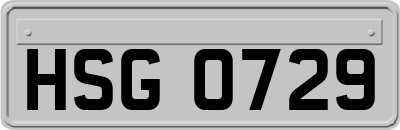 HSG0729