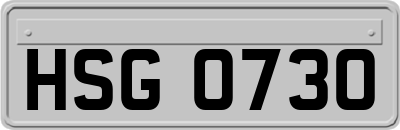 HSG0730