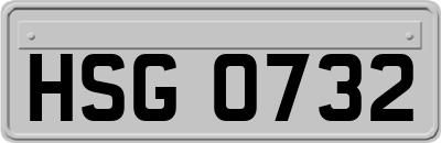 HSG0732