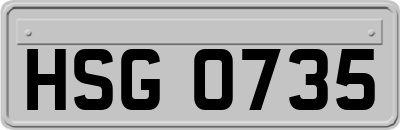HSG0735