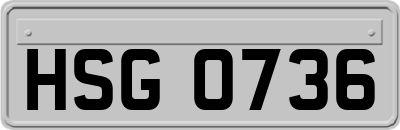 HSG0736