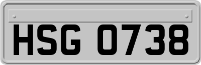 HSG0738