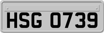 HSG0739