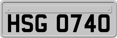 HSG0740