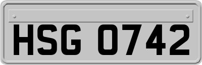 HSG0742