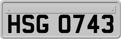 HSG0743