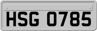 HSG0785