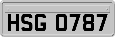 HSG0787