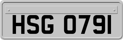 HSG0791