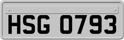 HSG0793
