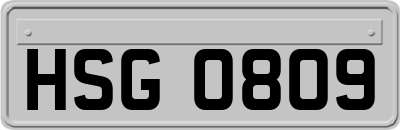 HSG0809
