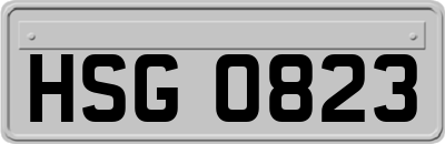 HSG0823