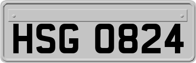 HSG0824