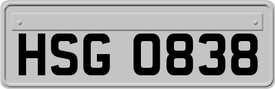 HSG0838