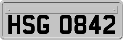HSG0842