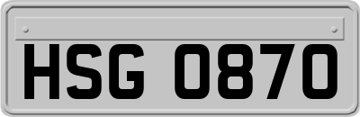 HSG0870