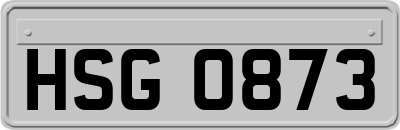 HSG0873