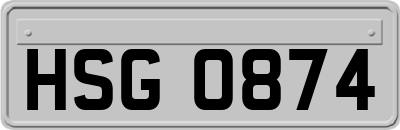 HSG0874