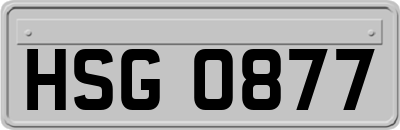 HSG0877
