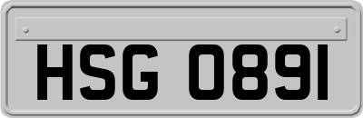 HSG0891