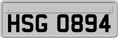 HSG0894