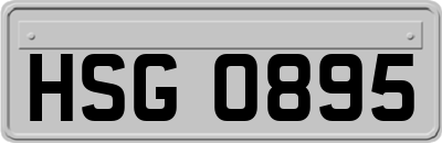 HSG0895