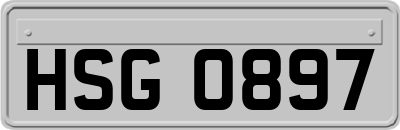 HSG0897