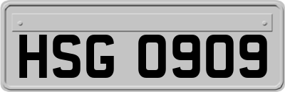 HSG0909