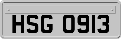HSG0913
