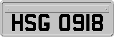 HSG0918