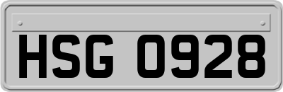 HSG0928