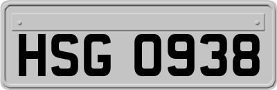 HSG0938