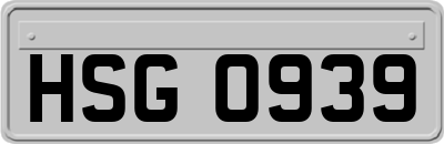HSG0939