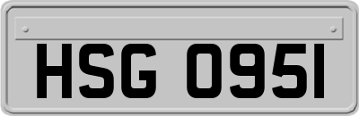HSG0951
