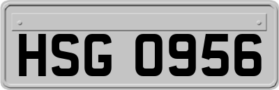 HSG0956