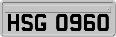 HSG0960