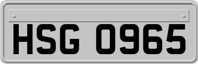 HSG0965