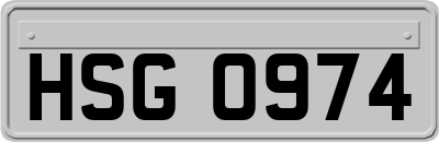 HSG0974