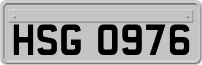 HSG0976