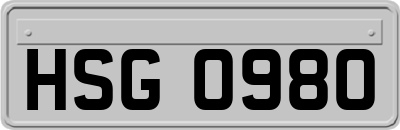 HSG0980